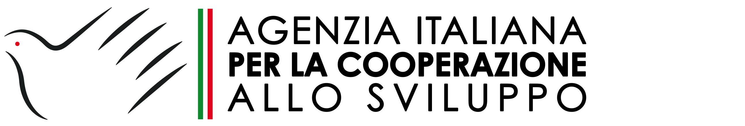 Italie, Coopération Italienne au Développement (CID)