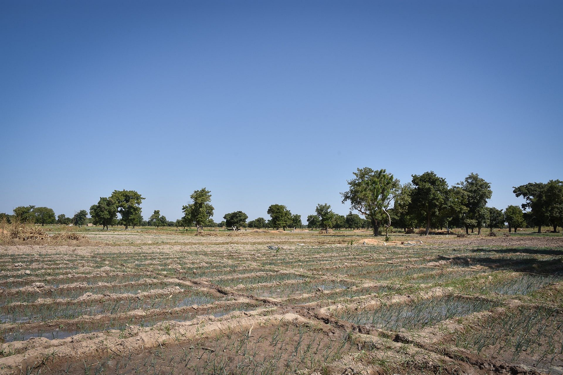 The G5 Sahel Enhanced cooperation for security and development