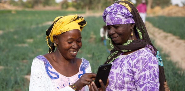 Autonomisation économique des femmes agricultrices au Mali