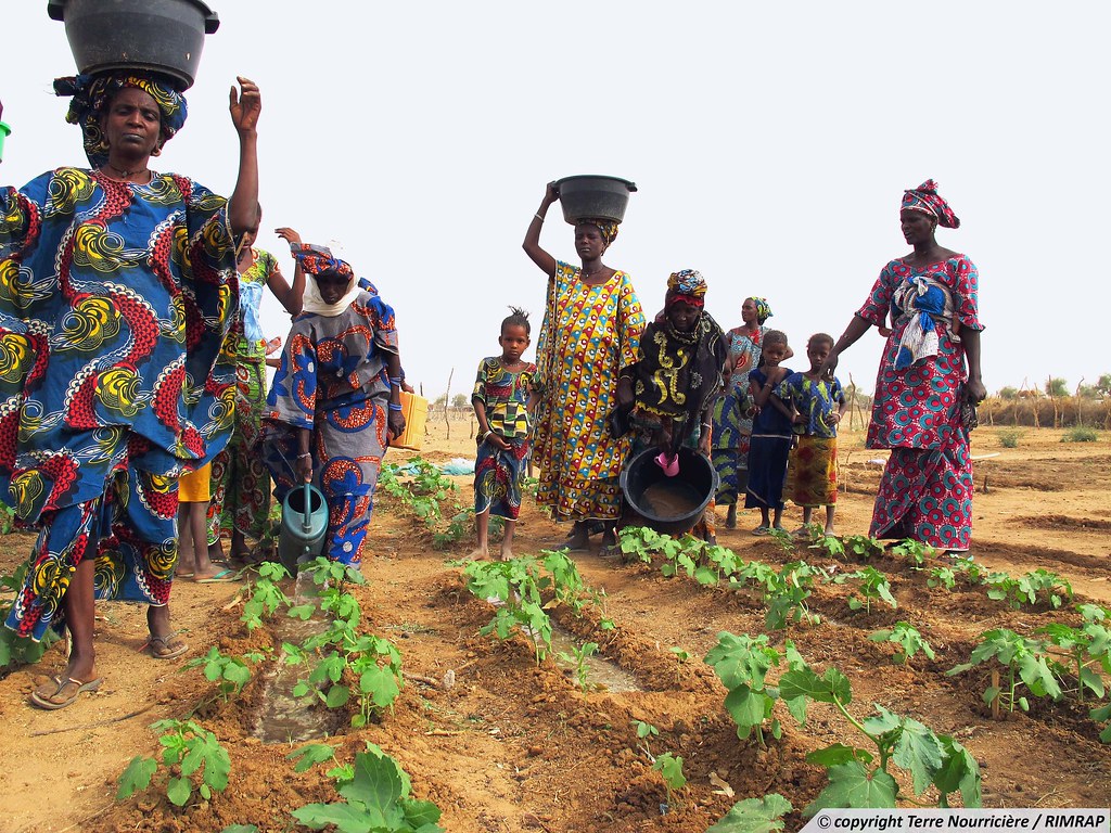 En Mauritanie, des agriculteurs et éleveurs plus résilients