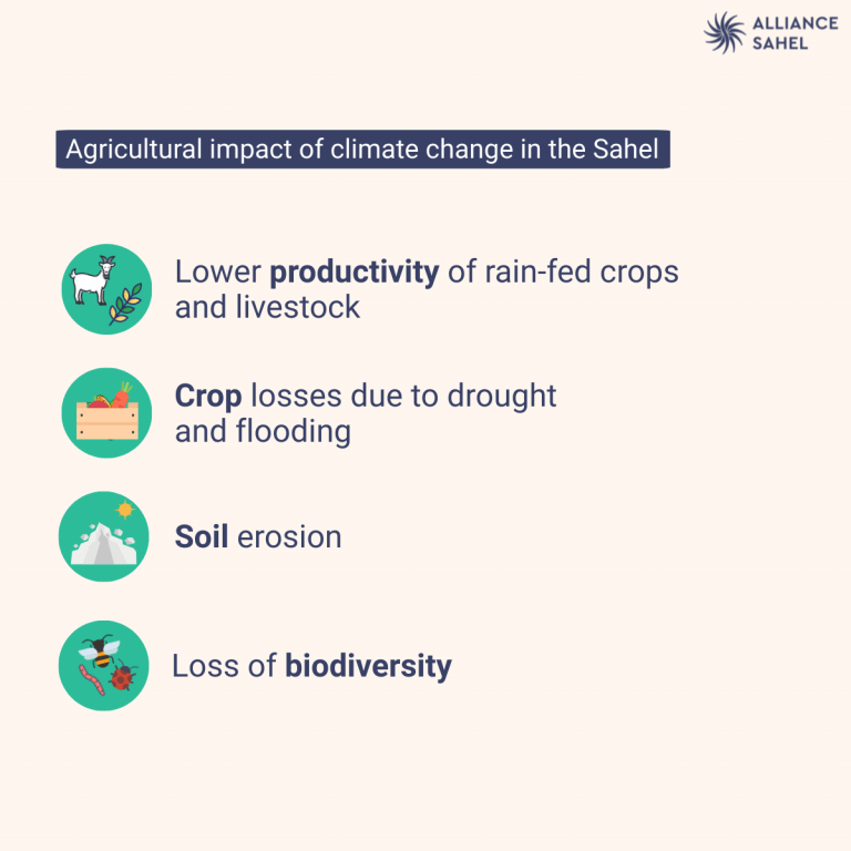 The Sahel and the Challenges of Climate Change